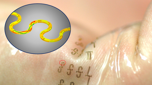 University of Wisconsin - Fabricated in interlocking segments like a 3-D puzzle, the new integrated circuits could be used in wearable electronics that adhere to the skin like temporary tattoos University of Wisconsin - Fabricated in interlocking segments like a 3-D puzzle, the new integrated circuits could be used in wearable electronics that adhere to the skin like temporary tattoos