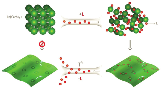 Evoled - Lanthanide aromatic carboxylates Evoled - Lanthanide aromatic carboxylates