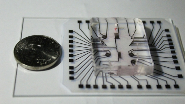 Stanford University - Biochip next to a coin Stanford University - Biochip next to a coin