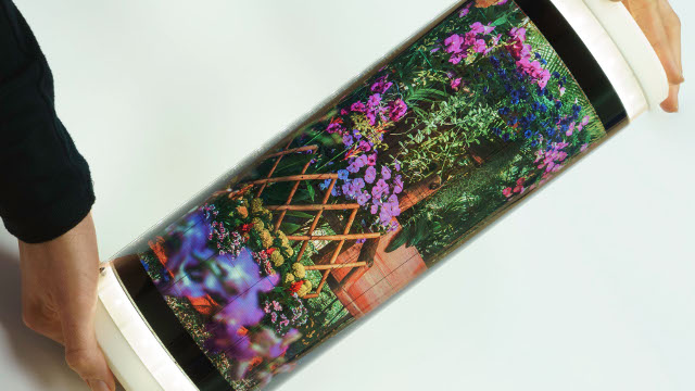 Flexenable - Flexible LCD panels using organic tft backplanes Flexenable - Flexible LCD panels using organic tft backplanes