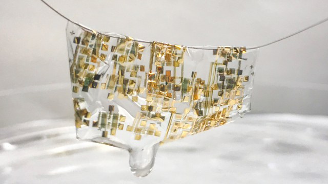 Stanford University - A newly developed flexible, biodegradable semiconductor Stanford University - A newly developed flexible, biodegradable semiconductor